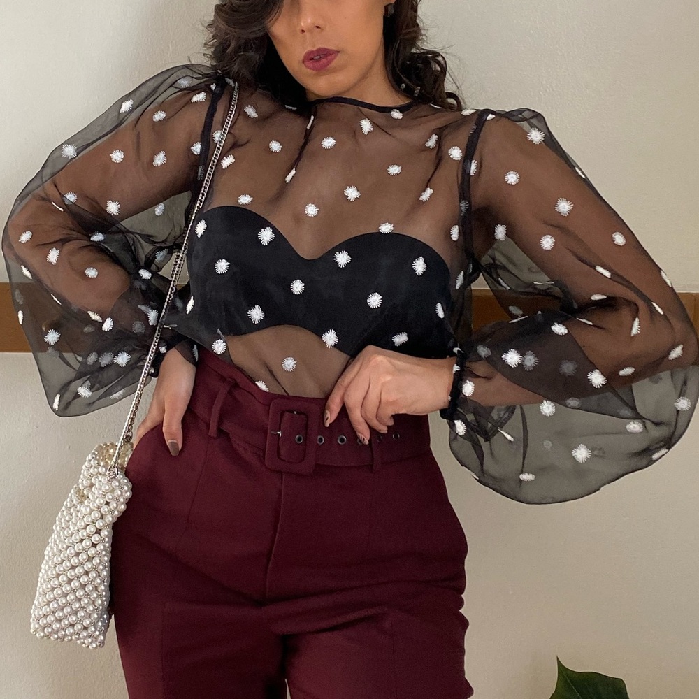 Zara Puff Sleeve Sheer Blouse